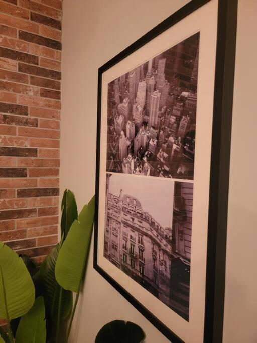 Cosmopolitan Apt 1407, 5 Star Facilities, 15M Sjo Airport, Parking, Pool, Gym San José Zewnętrze zdjęcie