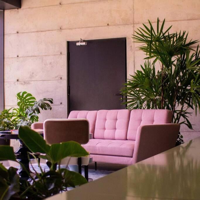 Cosmopolitan Apt 1407, 5 Star Facilities, 15M Sjo Airport, Parking, Pool, Gym San José Zewnętrze zdjęcie